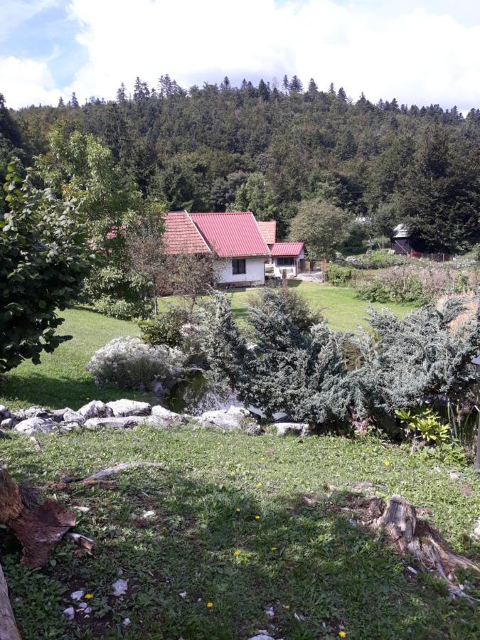 Apartmani Gruzdovo Делнице Экстерьер фото