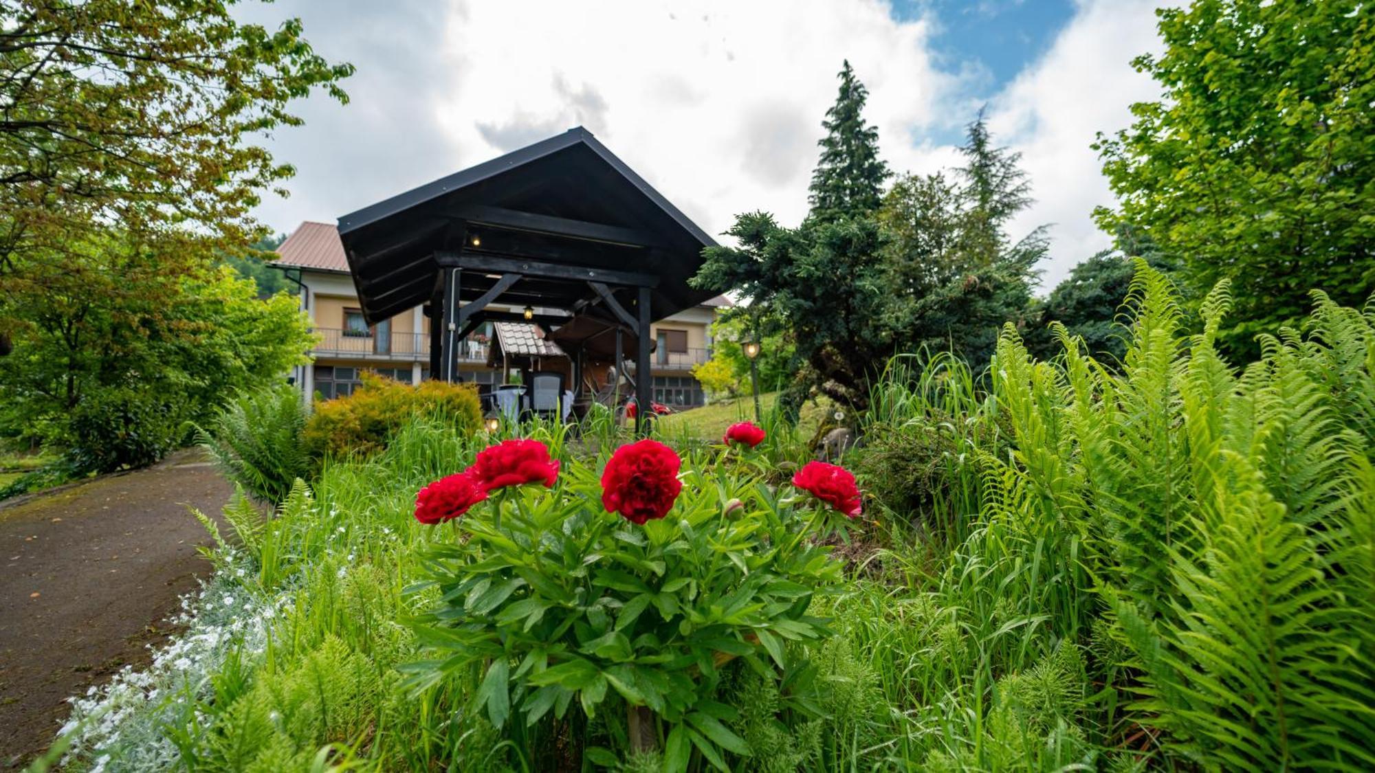 Apartmani Gruzdovo Делнице Экстерьер фото